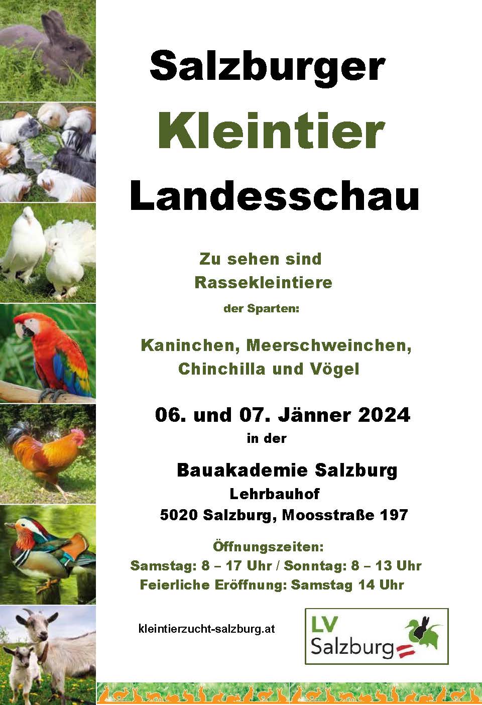 Salzburger Kleintierschau